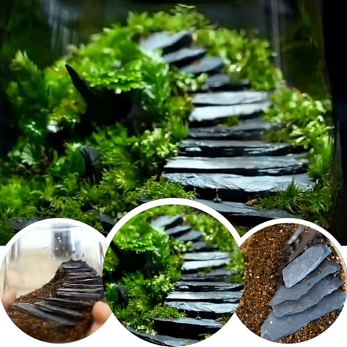 Fish Tank Rock Natural Slate Rocks 2 to 8 inch Aquariums Stone for Aquascaping,Terrariums, Reptile Enclosures,Paludariums,and Gardens-20lb - size: 20lb（2-8'')