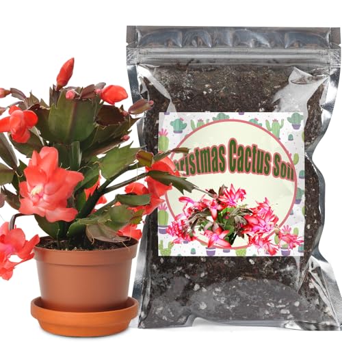 Doter Christmas Cactus Potting Soil Mix 1qt, Ideal for Succulents, Christmas Cacti, and Other Indoor Potted Plantings - size: 1qt