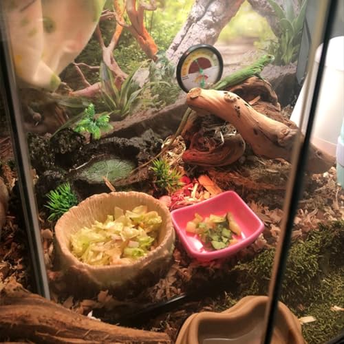 Tfwadmx Reptile Feeding Bowl,Resin Beared Dragon Food Water Dish Reptile Tank Decor for Lizard Gecko Chameleon Frog Turtle Spider