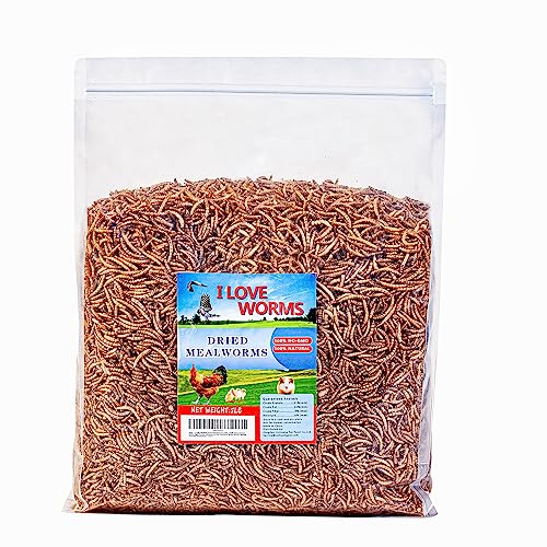 I LOVE WORMS Dried Mealworms (5lb), Wild Bird Food, High-Protein Mealworms for Bluebirds, Chickens, Ducks, Reptile, Tortoise, Amphibian, Lizard - size: 5 Pound (Pack of 1)