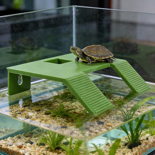 Turtle Resting Basking Platform, Double Ladder Turtle Climbing Ramp, Tortoise Resting Terrace for Frog Terrapin Reptile Amphibian Habitat Hideouts Floating Tank Décor (Green, Small) - size: Small