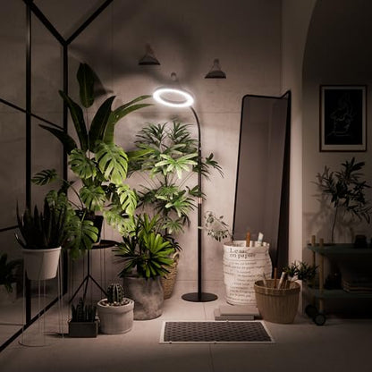 Grow Light Plant Light for Indoor Plants, Full Spectrum Grow Lamp with Pedestal Stand, Automatic Timer for 3H/9H/12H, 10 Dimmable Levels, Height Adjustable 51-67in Black - color: Black High