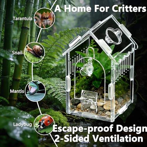 House-Shaped Acrylic Spider Enclosure, Clear Habitat with Feeding Port | Clear acrylic enclosure with feeding port, ventilation, and house-shaped design for jumping spiders and small invertebrates. - size: Acrylic House