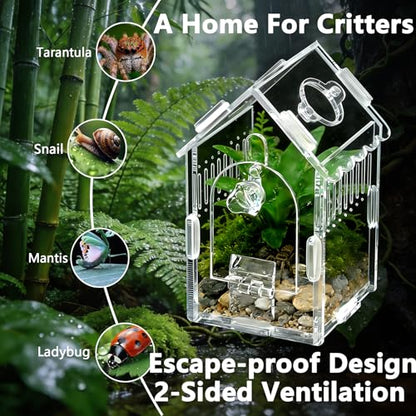 House-Shaped Acrylic Spider Enclosure, Clear Habitat with Feeding Port | Clear acrylic enclosure with feeding port, ventilation, and house-shaped design for jumping spiders and small invertebrates. - size: Acrylic House