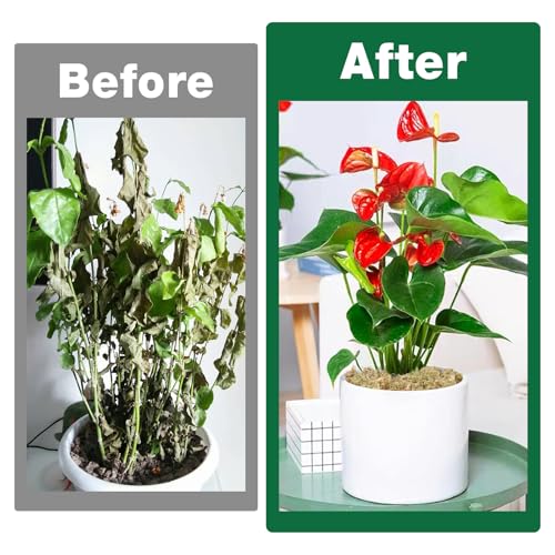 12L Premium Sphagnum Moss for Plants Indoor, New Zealand Sphagnum Moss for Orchid Potting Mix Terrarium Succulent Carnivorous Ferns Hosta Garden & Reptile Habitat