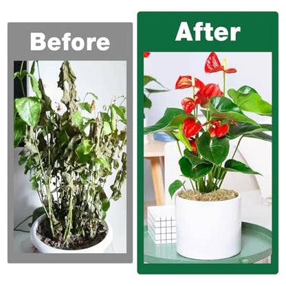 12L Premium Sphagnum Moss for Plants Indoor, New Zealand Sphagnum Moss for Orchid Potting Mix Terrarium Succulent Carnivorous Ferns Hosta Garden & Reptile Habitat