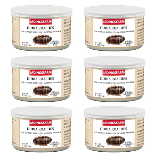 6 Pack Canned Dubia Roaches for Reptiles, Birds and Small Animals, Dubia Roaches, Healthy High Protein Treat, Reptile Food 7.2 Ounces Total