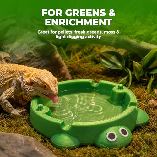 Bearded Dragon Dig Box & Reptile Food Dish, Medium | Medium Terrarium Accessory for Feeding and Digging; Suitable for Bearded Dragons, Turtles, and Other Small Reptiles