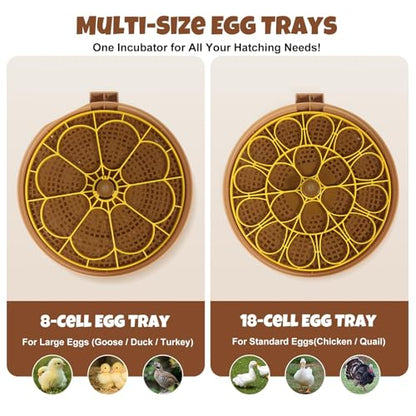 Nest III - 18 Egg Incubator for Hobbyists, Dual-Size Egg Trays, Multi-Level Adaptive Humidity & Temp Control, Custom Incubation Days, Auto Turning & Auto Stop, Integrated Digital Display, Candler - size: 18 Egg [Brown Hen]