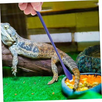 Yardwe 2Pcs Stainless Steel Reptile Food Spoon Reusable Feeding Tool for Lizards Small Reptiles Compact Design for Easy Pet Care