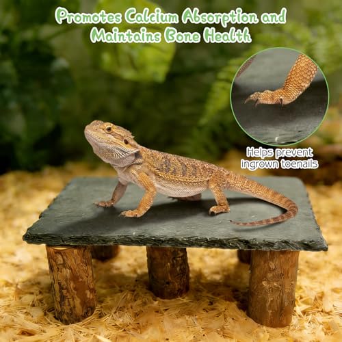 Bearded Dragon Basking Platform 3Pcs Reptile Basking Rocks with Wooden Pile Natural Lizard Hideout 2-in-1 Tortoise Tank Accessories for Leopard Geckos Ball Pythons Turtle (11.81×5.91inches) - size: Medium