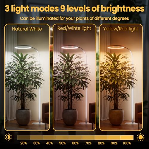 Plant Grow Light for Indoor Plants, Full Spectrum Grow Lamp with Pedestal Stand, Automatic Timer for 3H/9H/12H, Height Adjustable 51-67in White - color: White High
