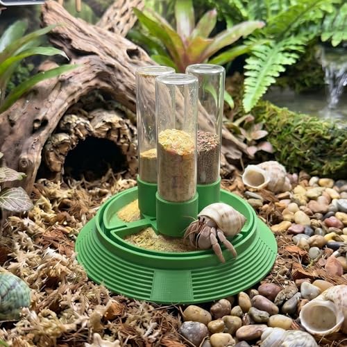 4-in-1 Hermit Crab Feeding Station - Integrated Nutrition and Hydration Center，3D-Printed Tank Accessories Made from Safe Materials, Suitable for Hermit Crabs and Small Reptiles. - color: Green