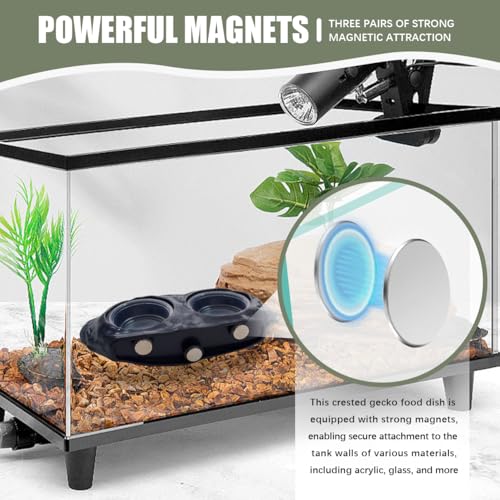 La La Pet 2Pcs Magnetic Reptile Feeding Ledge Double Bowl Feeder Tray with 4 Cups Reptiles Food & Water Dishes for Crested Gecko Bearded Dragon Lizards Chameleons