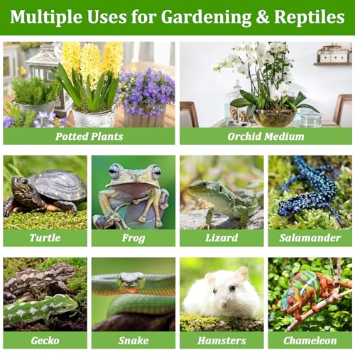 2.6LB Natural Sphagnum Moss for Reptile Terrarium Substrate Bedding | 48QT High Expansion, Moisture Retention, Helps Shedding, Long Fibers Dried Moss for Leopard Gecko, Snake, Frog, Turtle - size: 2.6LB