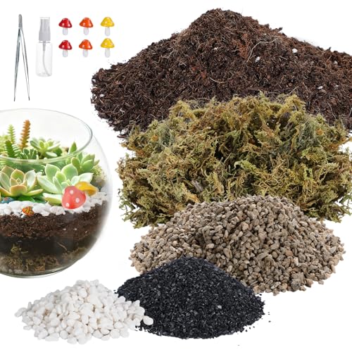 Terrarium Kit Adults - Includes Pumice, Moss, Soil, Pebbles, Charcoal, 2 Tools, Mushroom Ornaments for Succulent Cactus, Terrarium Accessories Decor Gifts for Starter Women