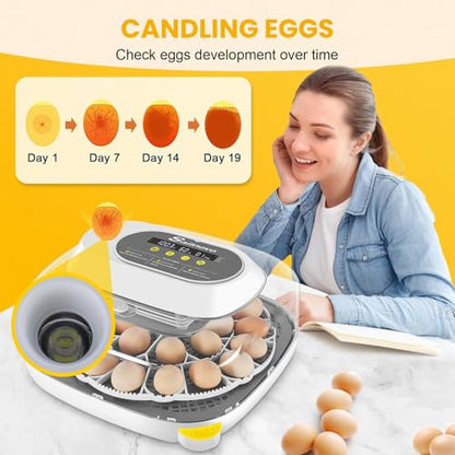 Sailnovo 24 Eggs Incubator, 4 Modes, Temp Control & Humidity Display, Grey | 3 Preset Modes, Built-in Candler, 360 View Window, Humidity Alarm, Easy Clean, Chicken Duck Quail eggs, Home Classroom Farm - color: Grey, size: 24 Eggs