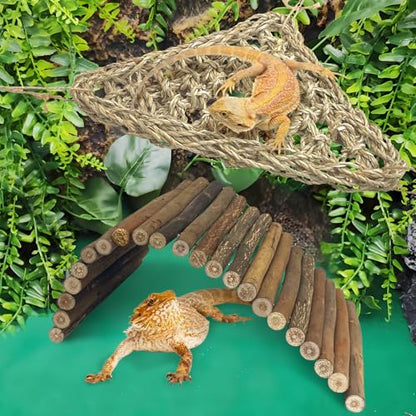 BNOSDM Reptile Wood Hideout Bridge Flexible Hammock 3PCS Reptile Habitat Accessory Set Bearded Dragan Tank Accessaries for Lizard Turtle Hermit Crabs Ball Python Gecko