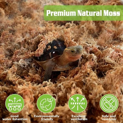 6 oz Sphagnum Moss for Plants Indoor, Long Fiber Natural Orchid Moss for Repotting Carnivorous Plants, Succulents, Monstera, Flower & Reptile Terrariums Habitats (Expands to 8 qt) - size: 6 ounces