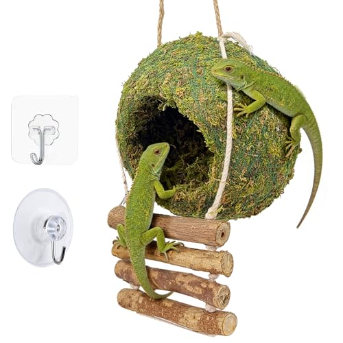 Handmade Moss Reptile Hanging Nest 4 Pcs Set, Large 6″ x 6″ | Gecko Hideout with Ladder, Terrarium Decor for Crested Gecko, Leopard Gecko, Lizard, Small Reptiles & Amphibians - size: Large 6″ x 6″