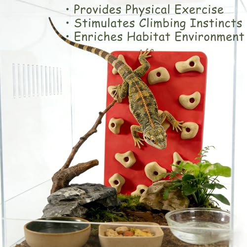 Mini Reptile Rock Climbing Wall, Terrarium Enclosure Enrichment & Habitat Décor for Bearded Dragons, Geckos, Lizards, Snakes, Tree Frogs and Small Amphibians (Red & Beige) - color: Red & Beige