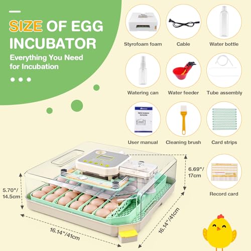 Sailnovo 48 Egg Incubator for Hatching Eggs with Auto Egg Turning, Precise Temp & Humidity Control, 360°Viewing, Egg Candler, Incubator for Chicken Eggs/Duck/Quail,Ideal for Farm/School/Lab,Green | Precise Temp & Humidity Control，Auto Egg Turning, 360°Vie