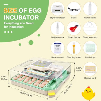 Sailnovo 48 Egg Incubator for Hatching Eggs with Auto Egg Turning, Precise Temp & Humidity Control, 360°Viewing, Egg Candler, Incubator for Chicken Eggs/Duck/Quail,Ideal for Farm/School/Lab,Green | Precise Temp & Humidity Control，Auto Egg Turning, 360°Vie