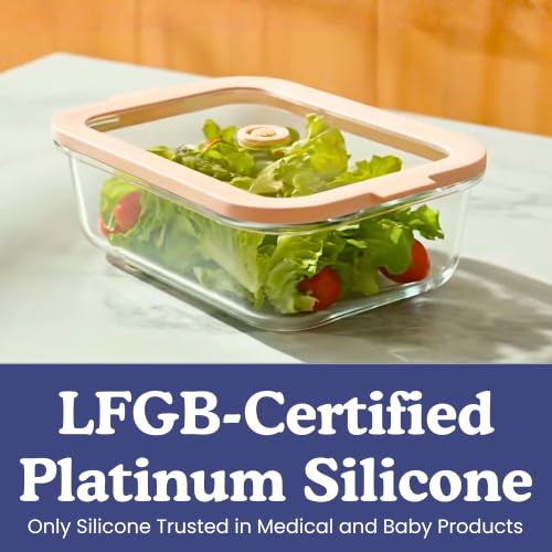 Non-Toxic Glass Food Containers with Lids, 4-Pack, 21 oz, Airtight, Gray | Plastic & BPA free. Glass body, glass lid & platinum silicone seal. Airtight & leakproof. Freezer & microwave safe. - color: Gray, size: 21 Oz