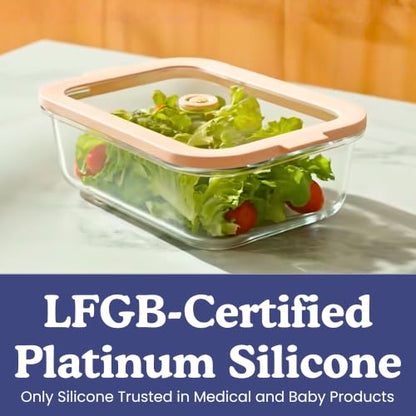 Non-Toxic Glass Food Containers with Lids, 4-Pack, 21 oz, Airtight, Gray | Plastic & BPA free. Glass body, glass lid & platinum silicone seal. Airtight & leakproof. Freezer & microwave safe. - color: Gray, size: 21 Oz