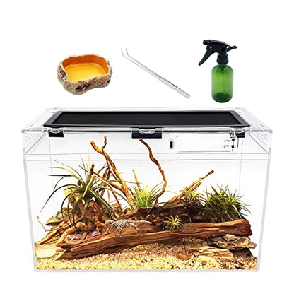Reptile Terrarium,16" x 8"x 10" Reptile Tank with Full View Visually Appealing，for Insect，Fish，Tarantula，Hermit Crab，Jumping Spider，Iguana，Tortoise，Leopard Gecko，Frog，Bearded Dragon - size: 16" x 8"x 10"