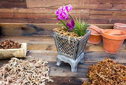 SuperMoss (22301) Orchid Sphagnum Moss Dried, Natural, 8oz - size: 0.5 lbs, style: Bag (326 cu. in.)