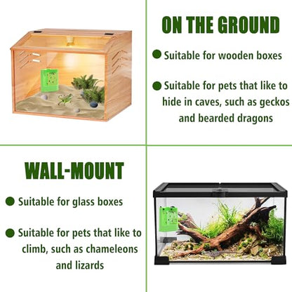 Chameleon Feeder with Suction Cups, Green Bearded Dragon Food Bowl | Wall Mount Insect Feeding Box for Reptile, Corner Hunting Bowl for Frogs Geckos, Tank Accessories
