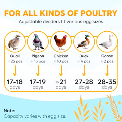 Okkobi M10 Incubator for Hatching Eggs - Ideal for All Ages - Automatic Turner and Humidity Control - Integrated Candler - 10 Eggs - Green & Yellow