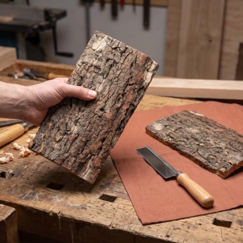 Alipis Cork Bark: Terrarium Cork Background - Natural Tree Bark Flats Reptile Habitat Decor Climbing Platform for Gecko, Snake, and Aquarium Fish Tank Background