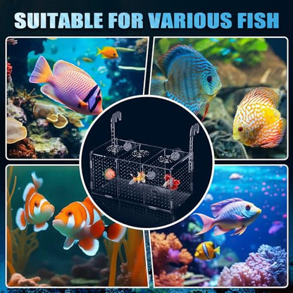 Fish Breeding Box, Acrylic Isolation Box Aquarium Hatchery Incubator with Suction Cups for Newborn Fry, Shrimp, Guppy, Clownfish, Aggressive Fish, 11.5" x 6" x 6"