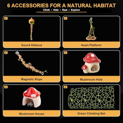 Jumping Spider Enclosure Kit, Acrylic Terrarium & 19PCS Accessories | Pre-Assembled Jumping Spider Enclosure Kit with Decor, Front Opening Spider Terrarium, Ventilated Jumping Spider Habitat