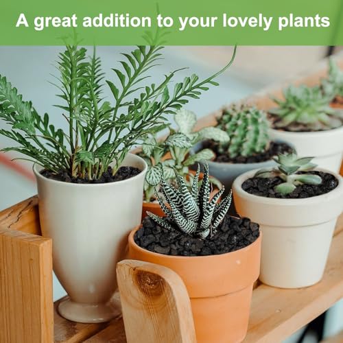Pulovin 2.5lbs Lava Rocks for Plants, 1/5 Inch Black Gravel for Succulent, Cactus, Bonsai Tree, Pure Volcanic Rocks, Top-Dressing, Good Drainage - color: Black
