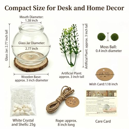 Moss Ball Terrarium Kit – Includes Glass Jar, Cork Lid, Wooden Base, Aquatic Plants, Lucky Clear Quartz & Shells