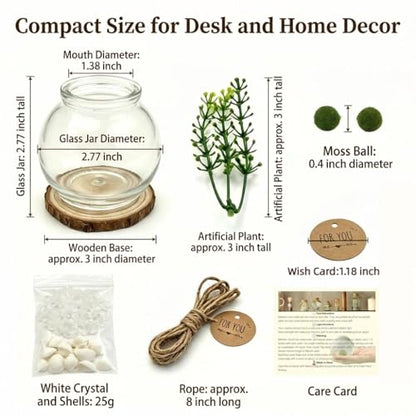 Moss Ball Terrarium Kit – Includes Glass Jar, Cork Lid, Wooden Base, Aquatic Plants, Lucky Clear Quartz & Shells