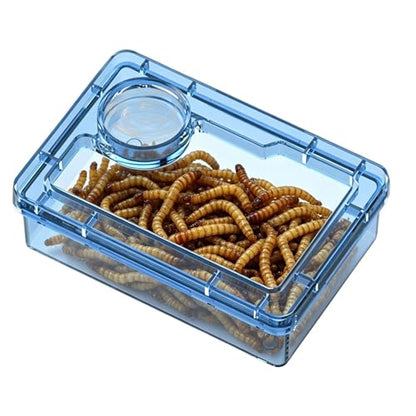 Reptile Bowl Clear Reptile Tank Accessories | Hermit Crab Food Bowl Lizard Feeder for Hermit Crab Frog Spider Chameleon Iguana Lizard Tarantula - color: Blue
