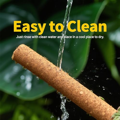Cork Branch for Reptiles – 15.7" Natural Climbing Wood Sticks for Crested Geckos, Tree Frogs, Bearded Dragons, Snakes, Lizards & Chameleons – Perfect Terrarium Habitat Decor