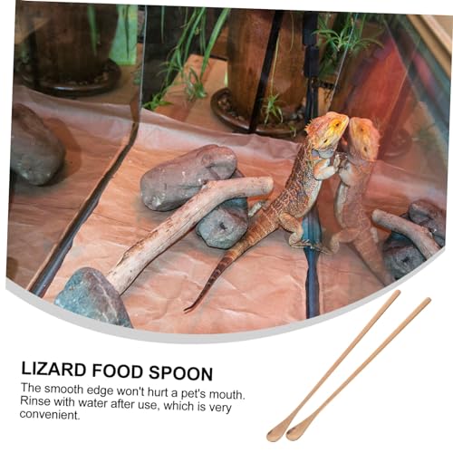 Happyyami 2pcs Reptile Feeding Handle Lizard Food Scoop Tool for Mixing and Fruit Pet Feeding Utensils for Lizards and Animals - color: Rose Gold