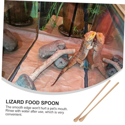 Happyyami 2pcs Reptile Feeding Handle Lizard Food Scoop Tool for Mixing and Fruit Pet Feeding Utensils for Lizards and Animals - color: Rose Gold