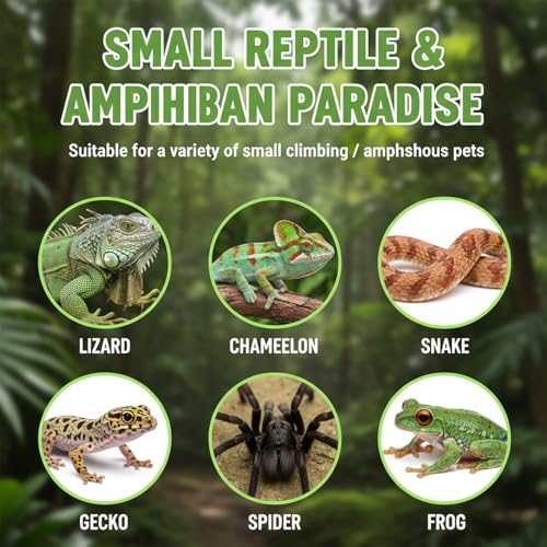 7 Pcs Reusable Small Reptile Feeding Dish, Crested Gecko Food and Water Dish and 2 Pcs Spoon, Silicone Reptile Food Bowl, Reptiles Food-Dish, Tank Accessories for Small Pets (8 Colors)