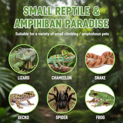 7 Pcs Reusable Small Reptile Feeding Dish, Crested Gecko Food and Water Dish and 2 Pcs Spoon, Silicone Reptile Food Bowl, Reptiles Food-Dish, Tank Accessories for Small Pets (8 Colors)