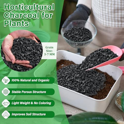10QT All Natural Horticultural Charcoal- Activated Hardwood Plant Charcoal for Soil Amendment, Conditioning Bonsai Soil, Succulent, Terrarium Supplies, Indoor Plant Potting Soil - color: 10 QT