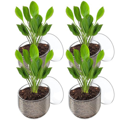 Pawfly Aquarium Plant Holder with Suction Cup, Clear Plastic Fish Tank Planting Holder, Fish Tank Plant Pot for Aquascape Decoration, Aquarium Planter Cup, 4 Pcs. - size: 4 Pack