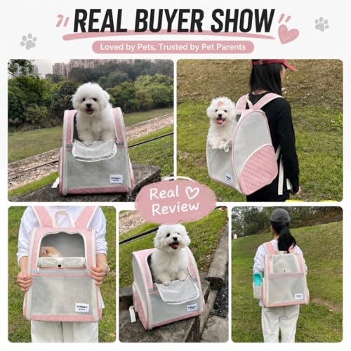Cat Backpack Carrier for Small Dogs and Medium cat Puppy Kitten Bunny Pet Carrier Backpack Collapsible with Fully Ventilated Mesh with Safety Leash (Pink, 12.9" L x 10.62" W x 15.5" H - M) - color: Pink, size: Medium