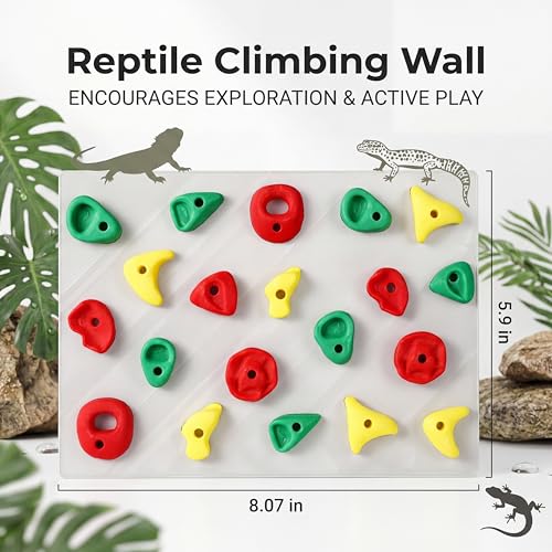 2-Pack Climbing Wall for Reptiles, Terrarium Habitat Decor | 2PCS Climbing Wall for Reptiles for bearded dragons, leopard geckos, habitat decor & enrichment