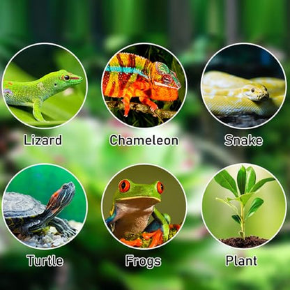 Terrariums Humidifier with 360° Nozzles, Rainforest Tank Timer Misting System, Watering Interval from 10 Seconds - 5 Minutes for Chameleons, Frog, Turtle (US Plug)